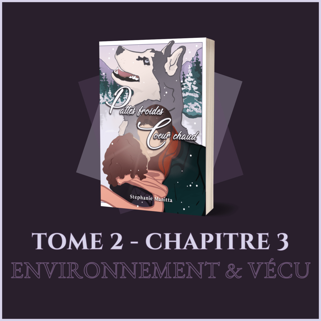 Couverture de mon 3e roman avec comme titre "Tome 2 - Chapitre 3" et "Environnement et vécu"